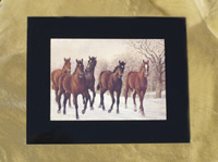 Yearlings in the Snow