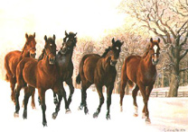 Yearlings in the Snow