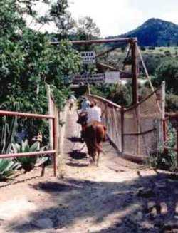 Riding trails go in many directions