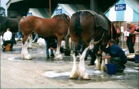 Yong Stockman's Class - washing legs and feet
