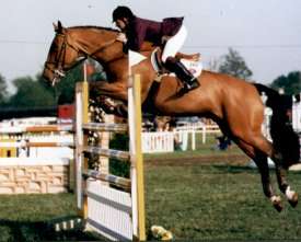 Diamond Cliff and Michael Whitaker