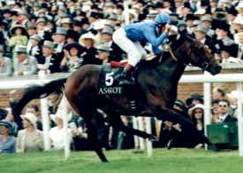 Frankie Dettori winning on Intikhab