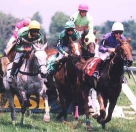 Laffite the Pirate - No 5 in the middle