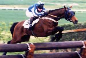 Symbol of Sucess being ridden to success by Richard Johnson