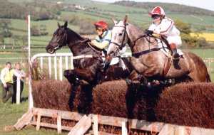 point to point racing