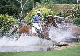 The Cross Country Phase!