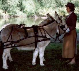 And the Donkeys came too!