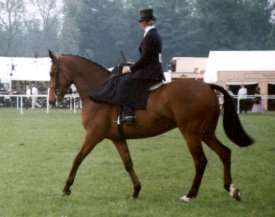 Sue Rawding and Statesman II