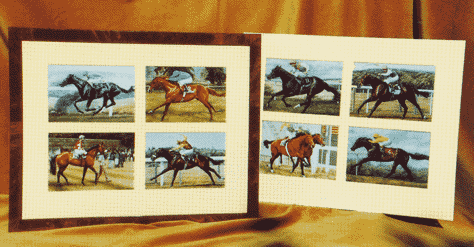 mounted postcards